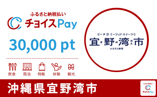 
            宜野湾市チョイスPay 30,000pt【会員限定のお礼の品】
          