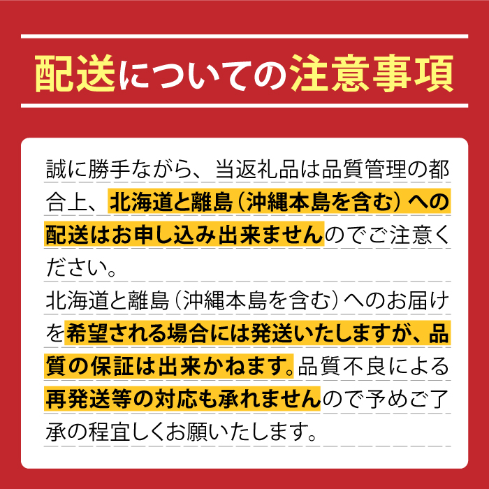 【年6回 旬のフルーツ定期便】旬の果物をお任せで6回お届け みかん ぶどう びわ すいか 梨 いちご メロン キウイなど / 南島原市 / 長崎県農産品流通合同会社 [SCB010]_イメージ4