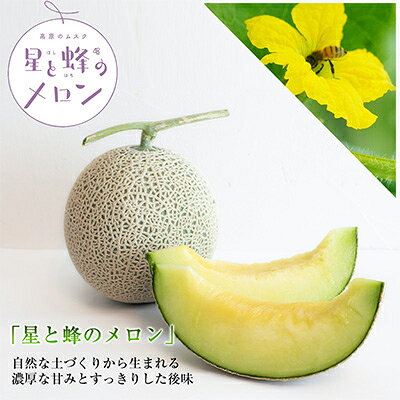 【ふるさと納税】【令和9年度産先行予約】星と蜂のメロン　Mサイズ2玉【配送不可地域：離島】【1099063】
