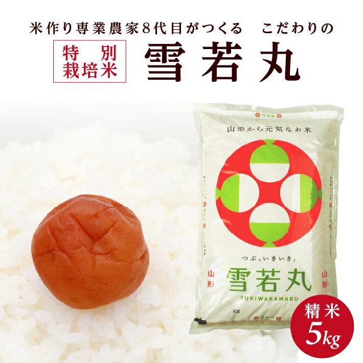 【ふるさと納税】≪新米予約≫ 特別栽培米 雪若丸 5kg 精米 令和7年産米 山形県産 ご希望の時期頃お届け 米 白米 庄内米 ブランド米 ごはん ご飯 農家直送 産地直送 東北 山形県 酒田市 庄内 発送時期が選べる