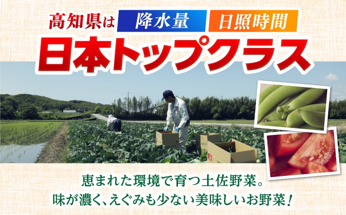 【3回定期便】 土佐の太陽をいっぱいに浴びた旬の野菜生姜約100gのセット「小」 【土佐野菜】 [ATBA011]