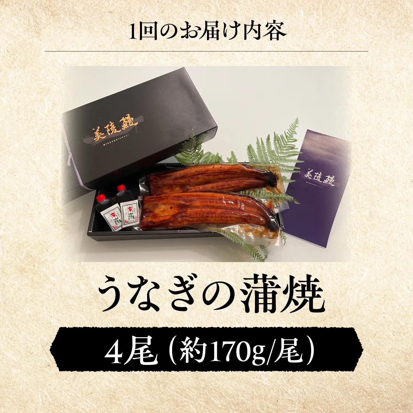 【全12回定期便】 鰻 鰻の蒲焼 4尾 / 美陵鰻 鰻 うなぎ ウナギ 蒲焼 蒲焼き かば焼き 白焼き 白焼 肉厚 うな重 うな丼 ひつまぶし おかず タレ 山椒 国産 スタミナ 土用 丑の日 贈答 