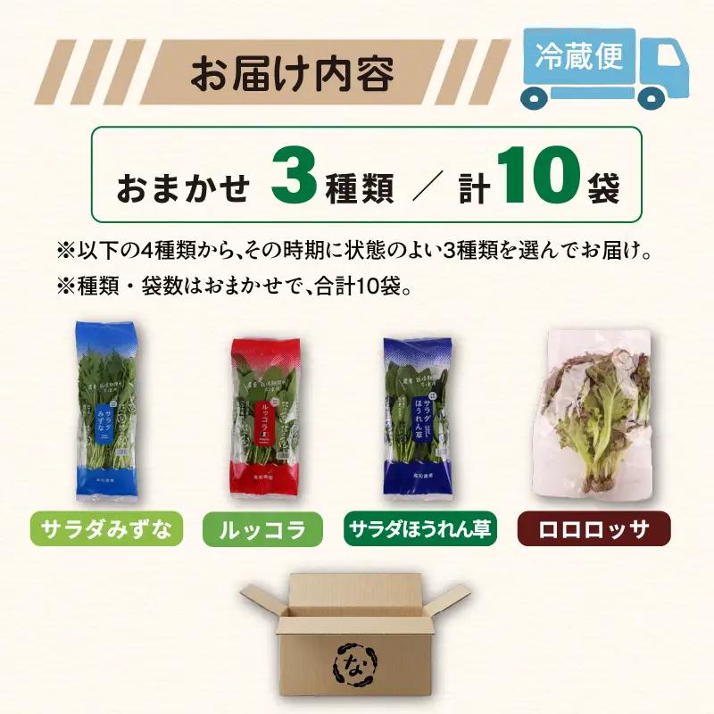 おまかせ3種セット ロロロッサ ルッコラ ほうれん草 みずな サラダ | 水耕 葉物 野菜 南国市