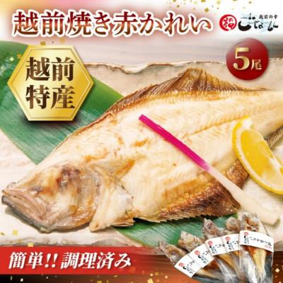 ふるさと納税 越前町 【のし付】【温めだけ】焼き調理済み 国産 越前赤かれい 5尾 干物 焼きカレイ