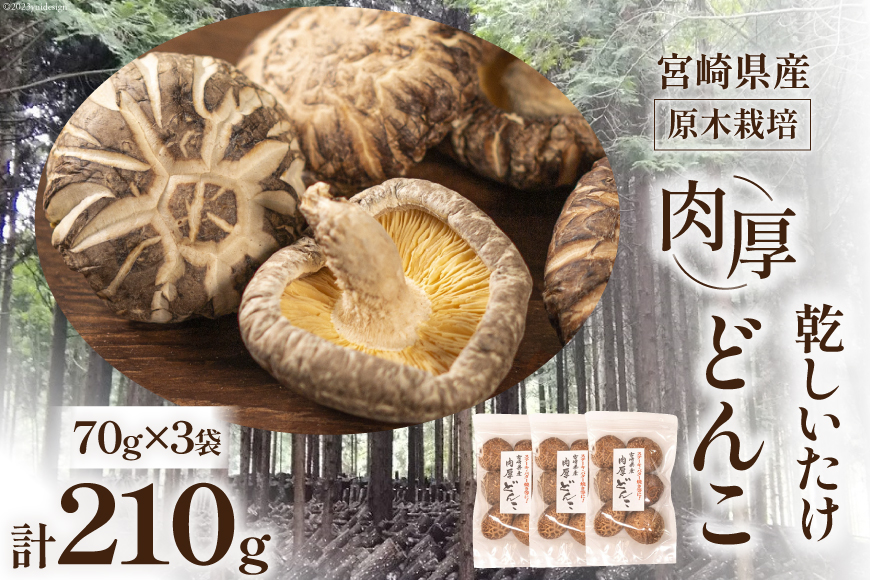 宮崎県産 原木栽培 乾しいたけ 肉厚 どんこ 70g 3袋 計210g [本吉 宮崎県 日向市 452061462] しいたけ 椎茸 乾燥 干し 国産