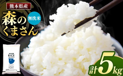 森のくまさん 無洗米 5kg | お米 米 無洗米 5キロ 国産 国産米 熊本県 玉名市 くまもと たまな