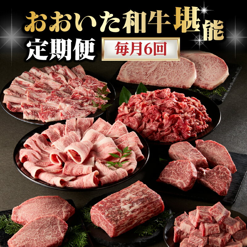 【ふるさと納税】【毎月配送】【おおいた和牛堪能】毎月6回お届け定期便 牛肉 お肉 ブランド牛 A4ランク A5ランク ステーキ ヒレ 中落ち カルビ サーロイン シャトーブリアン すき焼き しゃぶしゃぶ 希少部位 定期便 T10099