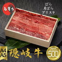 【ふるさと納税】隠岐牛（上カルビ）焼肉用500g