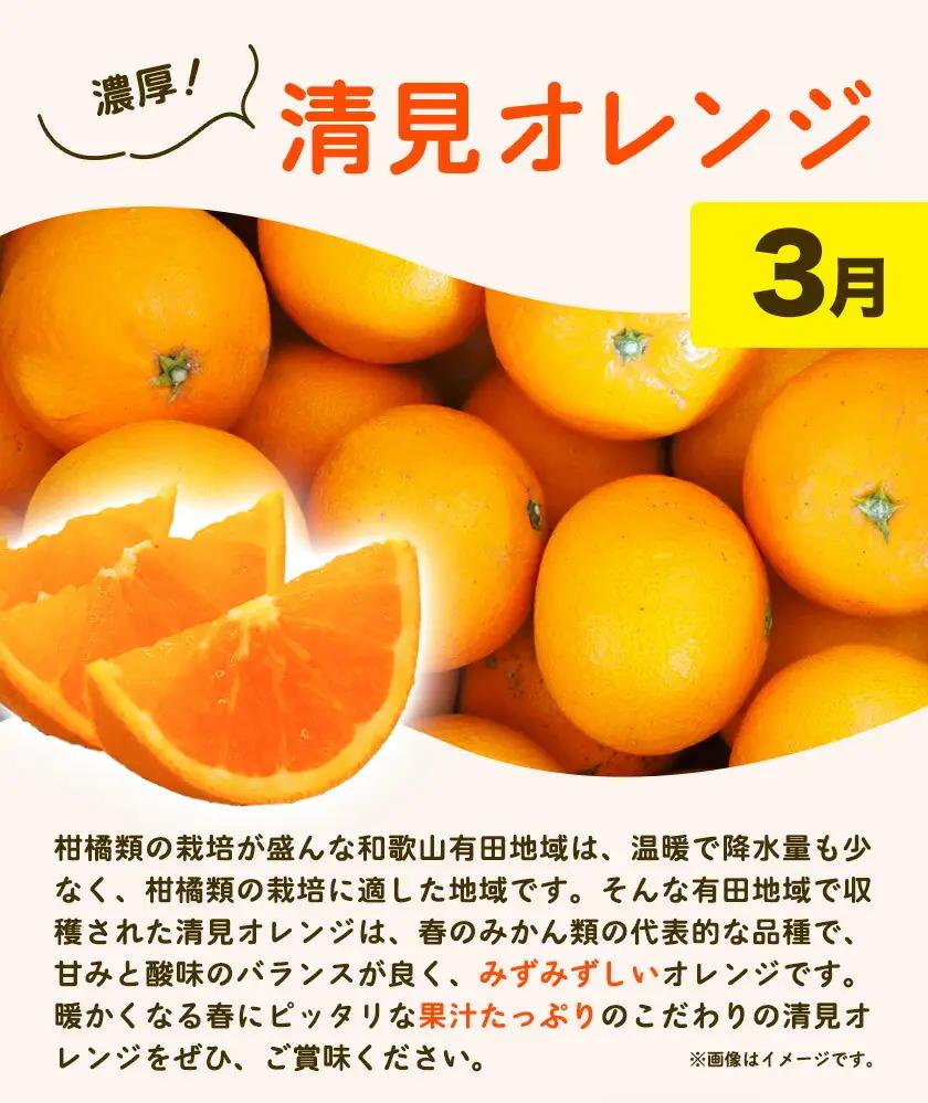 紀州 和歌山産 旬の ご家庭用 柑橘 セット M (みかん 不知火 清見)【全３回】 株式会社魚鶴