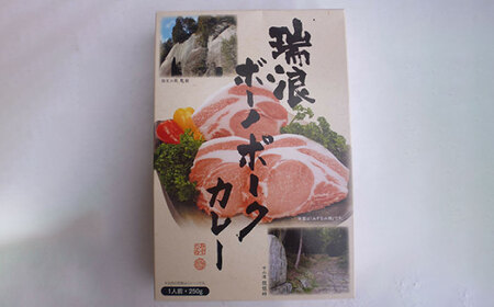 瑞浪ボーノポークカレー 250g×6個 きなぁた瑞浪  [AZCI001] ポークカレー 豚肉