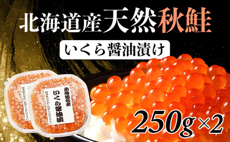 北海道産天然秋鮭　いくら醤油漬け 500g（250g×2）　年末年始 お歳暮 お正月 2025
