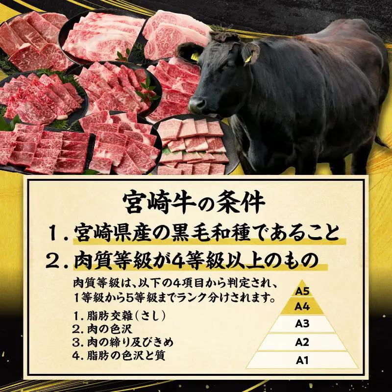 宮崎牛よくばり定期便全6回 ステーキ 焼肉 スライス