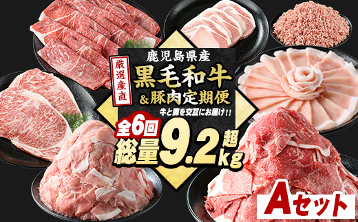 ＜定期便全6回＞黒毛和牛＆豚肉定期便 総重量9.2kg超 赤身 モモ 豚 ミンチ ロースかつ 豚肉 牛肉 切り落とし サーロイン 豚ロース しゃぶしゃぶ すき焼き 【スターゼン】_starzen-15