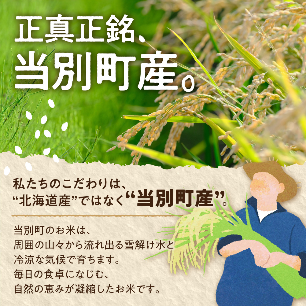 【令和7年産】精米ななつぼし10kg_tb11-003