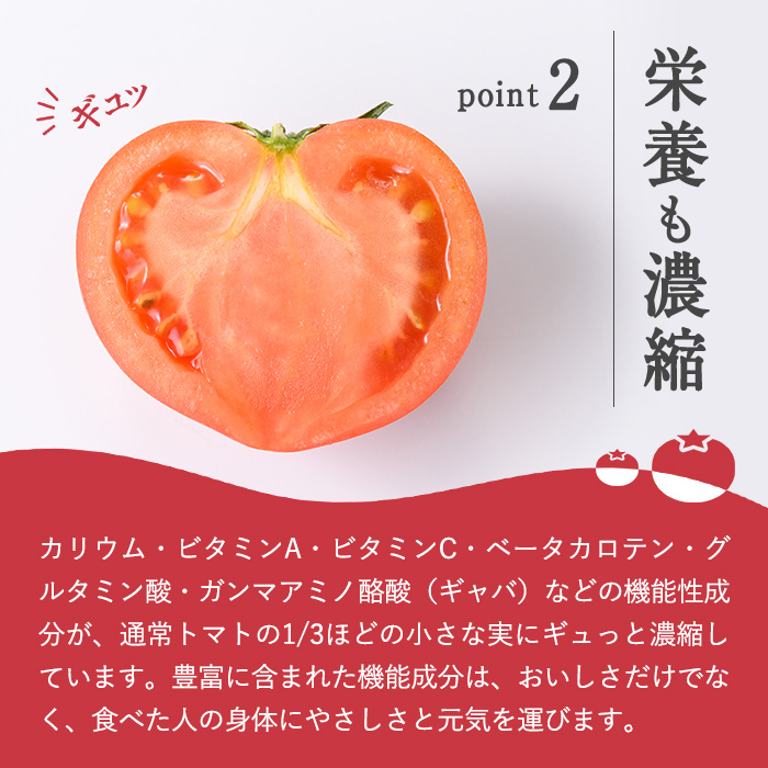 アメーラトマト
