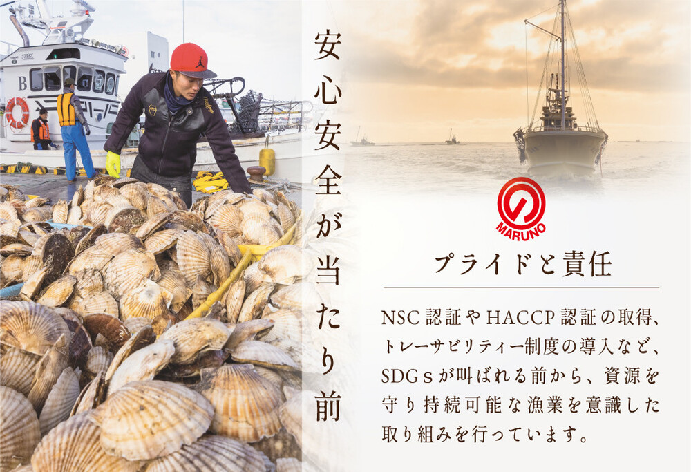 【 毎月7ヶ月定期便 】北海道 野付産  冷凍ホタテ 料理に使いやすい 中粒 ホタテ 500g 全 7回  水産事業者支援