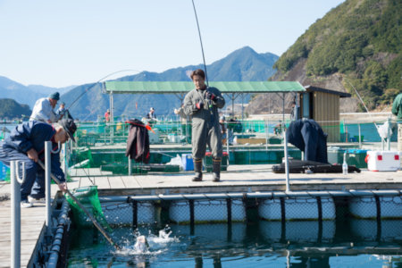 海上釣り堀貞丸の無料招待券【P02】