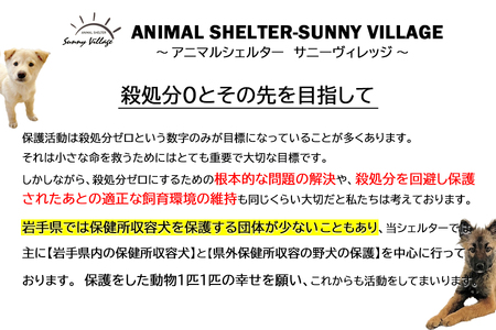 【お礼品なし】殺処分ゼロとその先を目指して！　動物保護シェルターへの応援寄附　20,000円