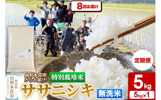 《定期便8ヶ月》令和7年産【無洗米】特別栽培米 ササニシキ 5kg 秋田県産 [ササニシキ 米 お米 白米 精米 無洗米 特別栽培米 ブランド米 食卓 秋田県産 秋田県 由利本荘市]