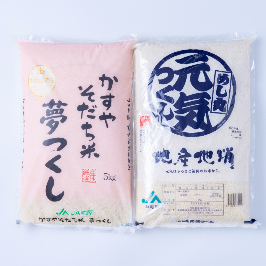 ＜岩田屋本店･南国フルーツ＞福岡のお米「夢つくし」5kg「元気つくし」5kg 計10kg