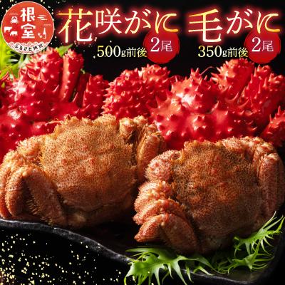 ふるさと納税 根室市 花咲がに2尾、毛がに2尾セット C-54005