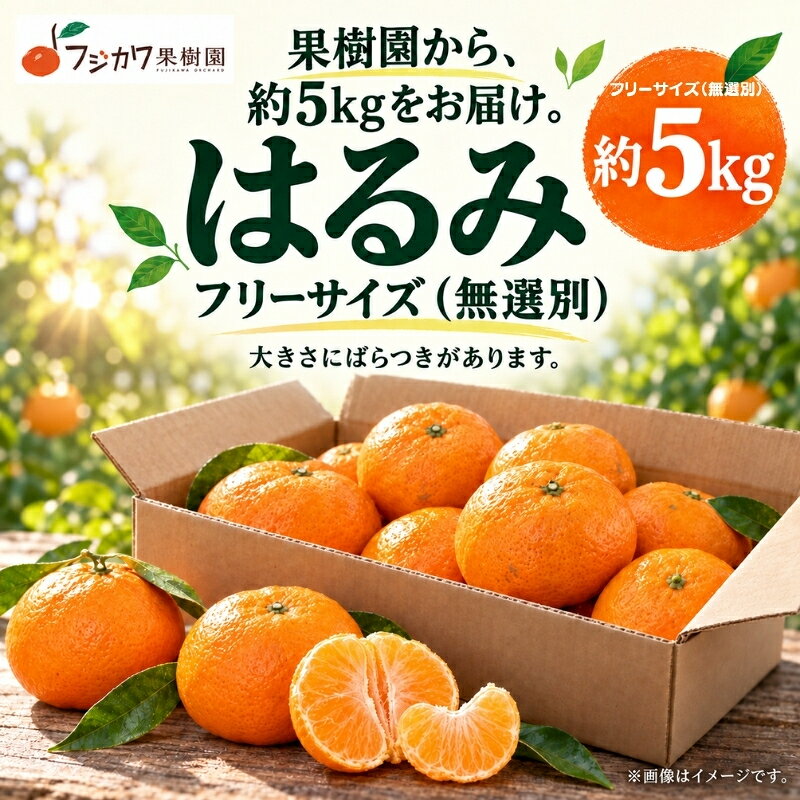 【ふるさと納税】はるみ みかん 約5kg 柑橘 香川県産 国産 デコポン 清見 ポンカン 交配種 手で皮がむける フリーサイズ 無選別 フジカワ果樹園 果実 中晩柑 甘い おすそ分け ギフト 贈り物 手土産 贈答用 フルーツ 香川県 観音寺市