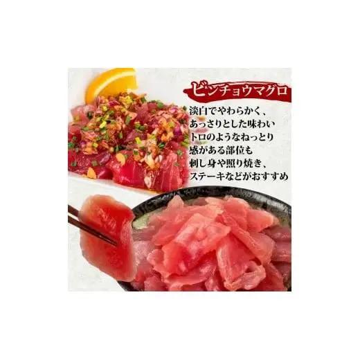 【 訳あり 】 訳ありビンチョウマグロ 1kg
