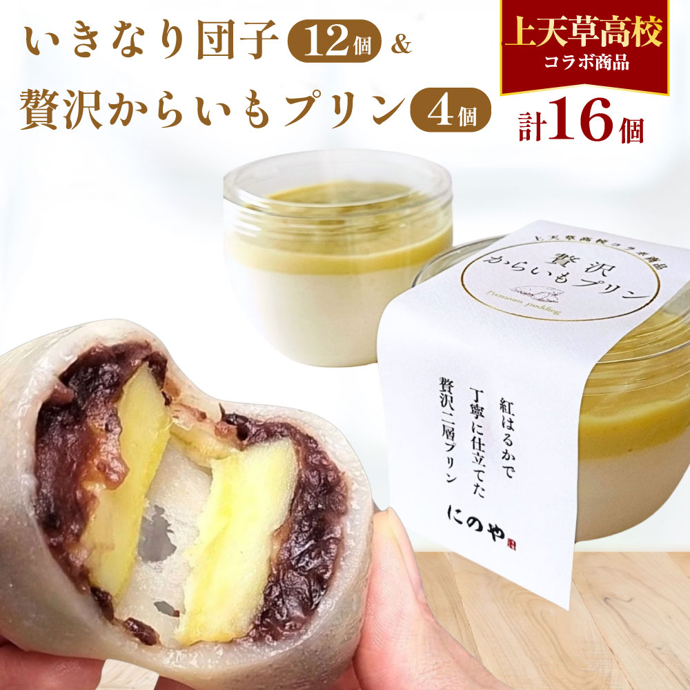 【ふるさと納税】いきなり団子 ＆ 贅沢からいもプリン 【上天草高校コラボ返礼品】 合計16個 和菓子 洋菓子 団子 さつまいも あんこ プリン お菓子 スイーツ デザート おやつ 詰め合わせ セット 上天草高等学校 熊本 国産 九州 冷凍 送料無料
