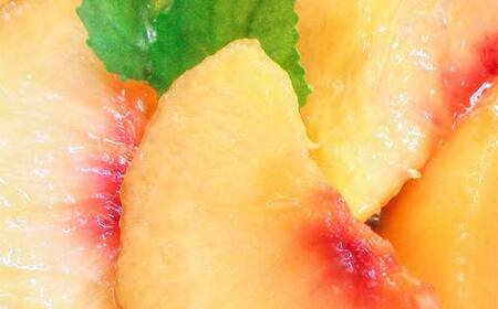 山形完熟ゴールデンピーチ 約2kg 5～9玉秀 ゴールデンピーチ 果物 くだもの 桃 もも フルーツ 黄桃 山形県産 F4A-0944