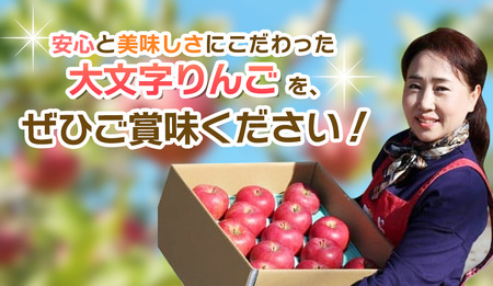 【令和6年度分予約受付】大文字りんご園 サン北斗 約5kg (18～20玉) 【2024年10月中旬頃より順次発送】/りんご りんご りんご りんご りんご りんご りんご りんご りんご りんご り