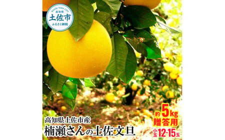 【先行予約】楠瀬さんの土佐文旦 贈答用小玉 約5kg 〈2027年2月15日〜2027年4月5日発送〉期間限定 高知 土佐 文旦 ぶんたん ブンタン 柑橘 みかん 果物 5キロ Lサイズ 12〜15玉 フルーツ 旬【まる庄果樹園】[BQAF003]