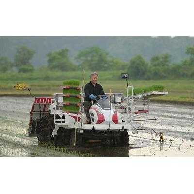 ふるさと納税 戸沢村 ≪2025年先行予約≫ 令和7年度 山形県戸沢村産 はえぬき 5kg F7W-0091 |  | 02