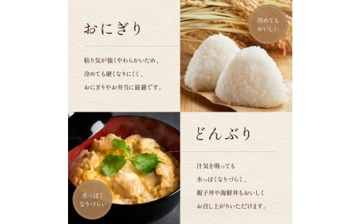 【先行予約】 令和8年産 【12ヵ月定期便】 ゆめぴりか 北海道南るもい産 (白米)5kg 全12回 R011-040-R8