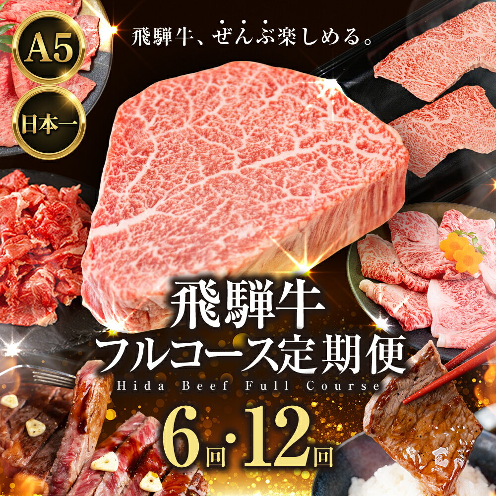 【ふるさと納税】＼飛騨牛全部楽しめる／ 飛騨牛フルコース定期便 選べる回数 定期便 6回 12回 6ヶ月 12ヶ月 飛騨牛 牛肉 希少部位 国産 焼き肉 焼肉 切り落とし すき焼き しゃぶしゃぶ サーロイン ヒレ シャトーブリアン ステーキ 170000円 17万円 中部ミート 岐阜県 大垣市