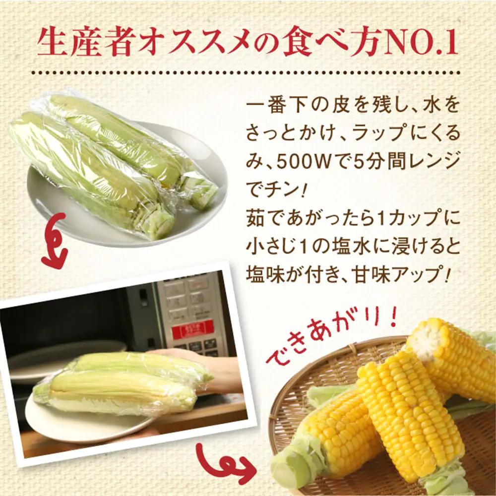【北海道恵庭市産】朝どりスイートコーン×10本【310024】