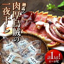 【ふるさと納税】イカ 一夜干し 1kg 4～6尾 肉厚 イカ 無添加 海鮮 干物 甘塩 おつまみ おかず ゲソ 耳 コリコリ食感 炙り 酒の肴 アテ お取り寄せ グルメ 送料無料