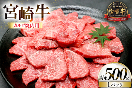 牛肉 宮崎牛 カルビ 焼肉用 500g 1p [ローカルブランディング 宮崎県 日向市 452061412] 冷凍 小分け 黒毛和牛 黒毛 A4 A5 焼肉 焼き肉 BBQ バーベキュー 国産