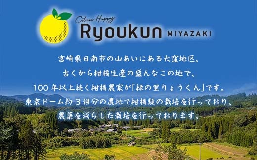 ★テレビで紹介された★ 数量限定 グレープフルーツ 月夜実 白 つくよみ 計4kg以上 期間限定 希少 完熟 果物 くだもの 柑橘 オリジナル ブランド 国産 食品 人気 おすすめ デザート スイーツ