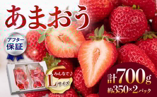 【アフター保証】あまおう Lサイズ 約350g×2パック【1月上旬より順次配送】 ▼博多あまおう  福岡  博多 いちご イチゴ 苺 あまおう 贈り物 果物 福岡県 福岡県産 桂川町/高嶋園芸[ADAT003]