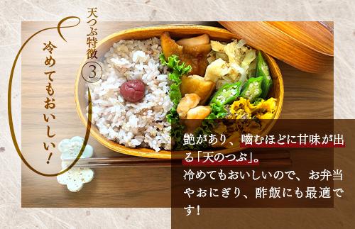 【令和8年産】米　国見町産　天のつぶ  20kg　5kg×4袋 ※2026年10月～発送