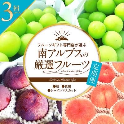 ふるさと納税 南アルプス市 【発送月固定定期便】フルーツギフト専門店が選ぶ南アルプスの厳選フルーツ定期便　全3品種全3回