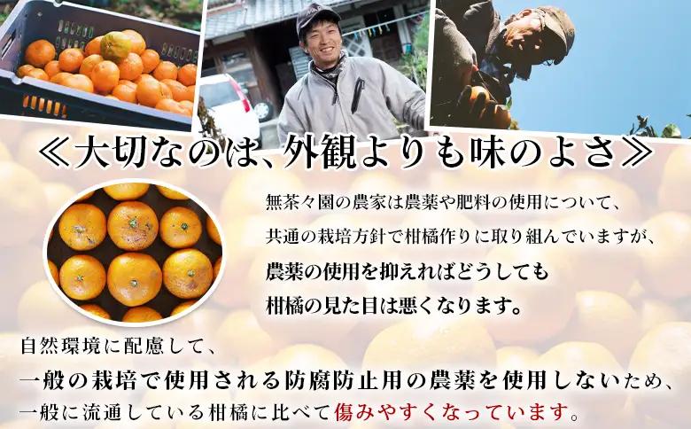【先行予約】＜無茶々園 温州みかん 約5kg＞ 果物 くだもの ミカン 蜜柑 柑橘 フルーツ うんしゅうみかん 贈り物 ギフト おいしい 期間限定 季節限定 食べて応援 特産品 愛媛県 西予市 【常温