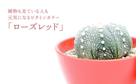 【美濃焼】ローズレッド Plant Hunter Pot【RYOTA AOKI POTTERY/青木良太】/ 陶芸家 プランター インテリア 雑貨 植木鉢 レッド 赤 芸術 美術品 高級感 おしゃれ 