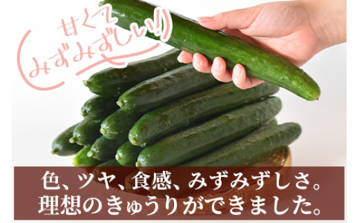 甘くてみずみずしい！