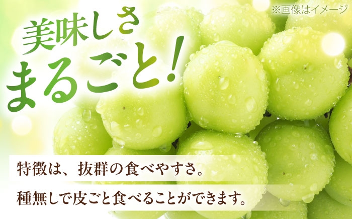 シャインマスカット しゃいんますかっと シャイン マスカット ますかっと 3～5房 約2kg  皮ごと 葡萄 ブドウ