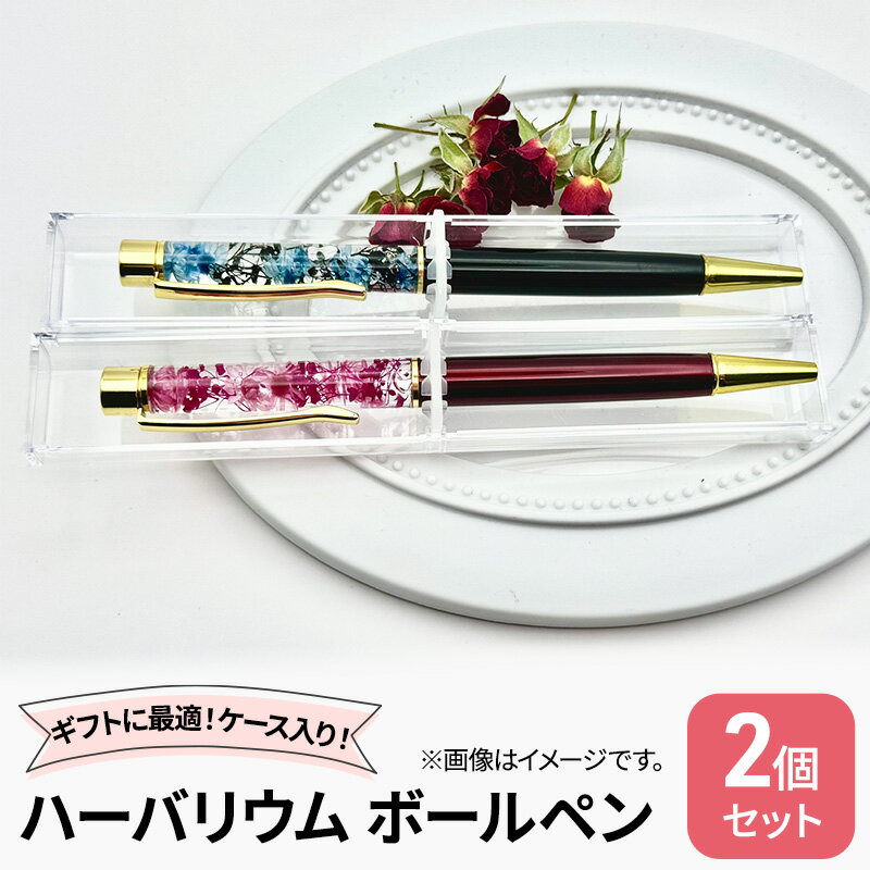 【ふるさと納税】ハーバリウム ボールペン2本セット ケース入り！　ハンドメイド 雑貨 ギフト プレゼント　 小物 手作業 世界に一つ ハンドメイド作品 かわいい 贈り物 置物
