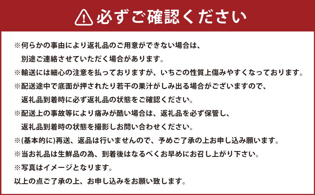 今季初採れあまおう2パック 約500-540g