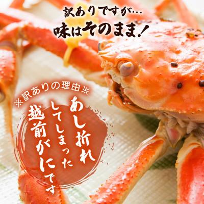 ふるさと納税 越前町 地元鮮魚店厳選 【訳あり】 ≪浜茹で≫ 足折れ 越前がに 大サイズ 1杯【1月発送分】 |  | 01