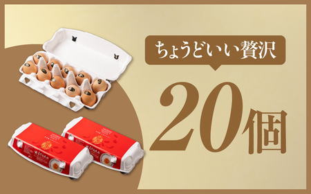 烏骨鶏卵 モールド 20個セット | 烏骨鶏 卵 たまご 烏骨鶏卵