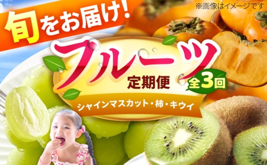 フルーツ 果物 くだもの シャインマスカット 柿 かき キウイ 定期便 旬